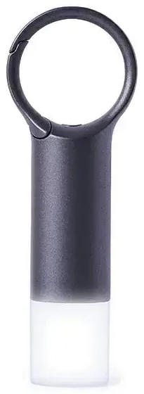 Lexon Nomaday Flash LED Keychain gray/gun LL137X