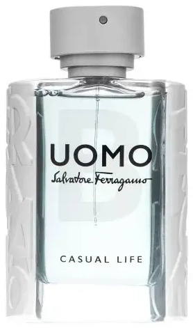 Salvatore Ferragamo Uomo Casual Life Туалетная вода для мужчин 100 мл