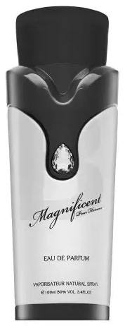 Armaf Magnificent Pour Homme parfimērijas ūdens vīriešiem 100 ml