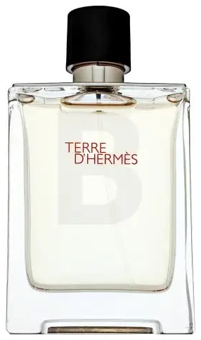 Hermès Terre D'Hermes tualetinis vanduo vyrams 100 ml