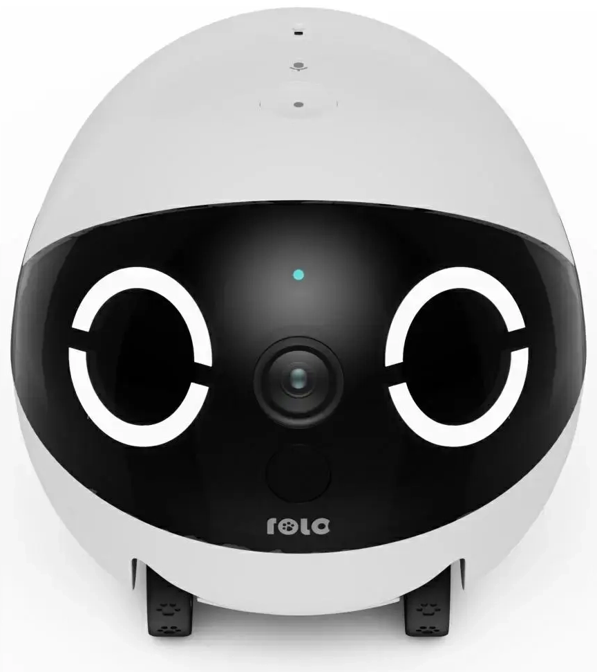 Intelligent companion robot ENABOT   ROLAMINI
