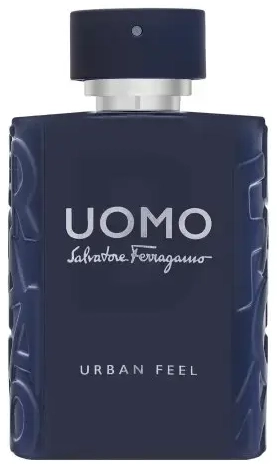Salvatore Ferragamo Uomo Urban Feel Eau de Toilette for men 100 ml