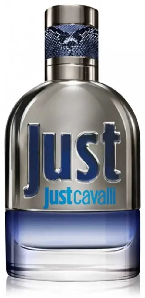Roberto Cavalli, Just Cavalli, Eau De Toilette, For Men, 90 ml *Tester