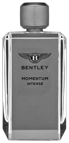 Bentley Momentum Intense eau de parfum для мужчин 100 мл