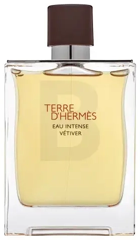 Hermès Terre D'Hermes Eau Intense Vetiver parfumuotas vanduo vyrams 200 ml