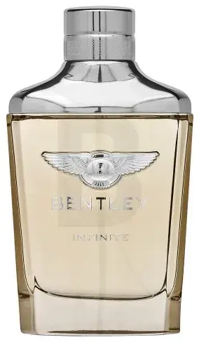 Bentley Infinite Eau de Toilette for men 100 ml