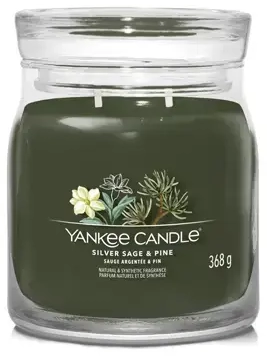 Yankee Candle Silver Sage & Pine kvapioji žvakė vidutinė 368 g