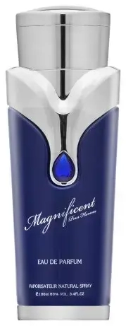Armaf Magnificent Blue Pour Homme parfüümvesi meestele 100 ml