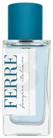 Gianfranco Ferré Fougere Italiano Eau de Toilette for men 50 ml