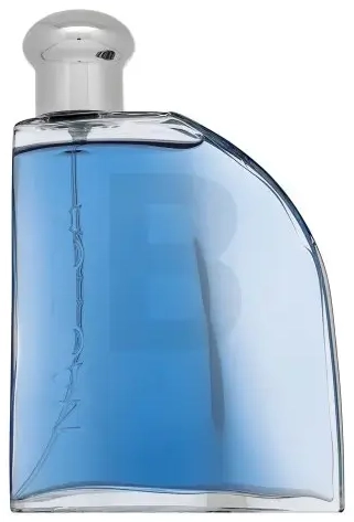 Nautica Blue Sail tualetinis vanduo vyrams 100 ml