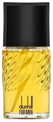 Dunhill Dunhill for Men Eau de Toilette for men 100 ml