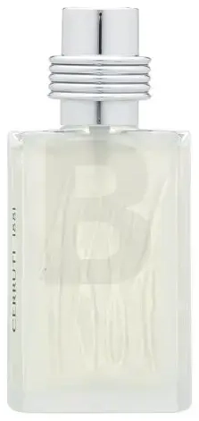 Cerruti 1881 pour Homme tualetinis vanduo vyrams 50 ml