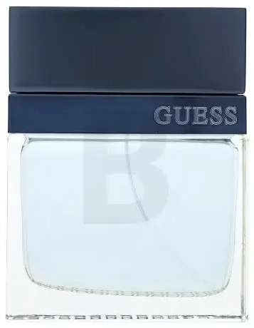 Guess Seductive Homme Blue Eau de Toilette for men 100 ml