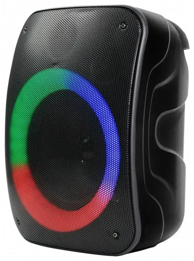 Rebeltec Bluetooth kõlar STAGE 300 must