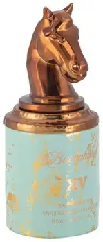 Armaf Bucephalus No. XV parfüümvesi meestele 100 ml