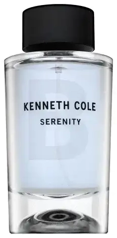 Kenneth Cole Serenity Eau de Toilette for men 100 ml