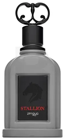 Zimaya Stallion parfüümvesi meestele 100 ml