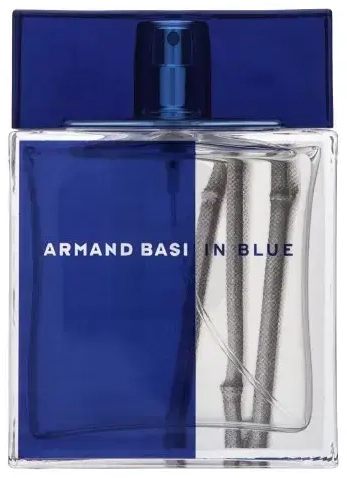 Armand Basi In Blue Eau de Toilette for men 100 ml