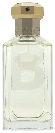 Versace Dreamer Eau de Toilette for men 100 ml