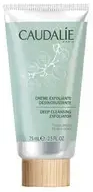 Deep Cleansing Exfoliator (All Skin Types) - Deep Cleansing Exfoliator